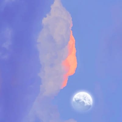 Lina Wijaya avatar