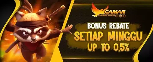 Cashback Harian Hingga 0.5% untuk Pemain Slot promotion